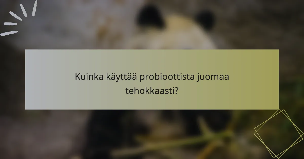 Kuinka käyttää probioottista juomaa tehokkaasti?