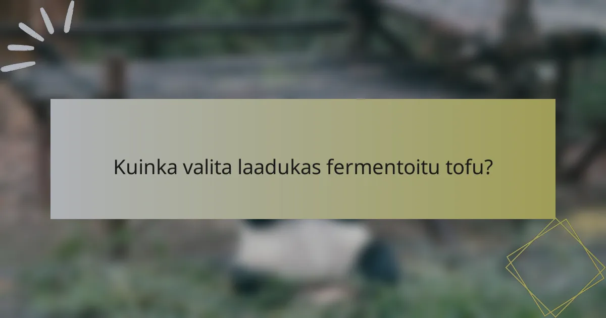 Kuinka valita laadukas fermentoitu tofu?