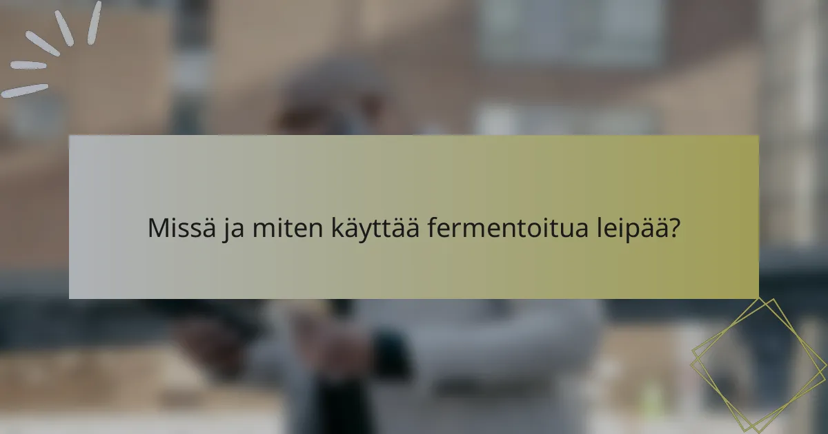 Missä ja miten käyttää fermentoitua leipää?