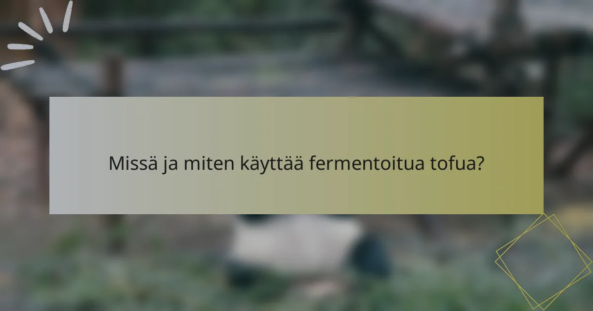 Missä ja miten käyttää fermentoitua tofua?
