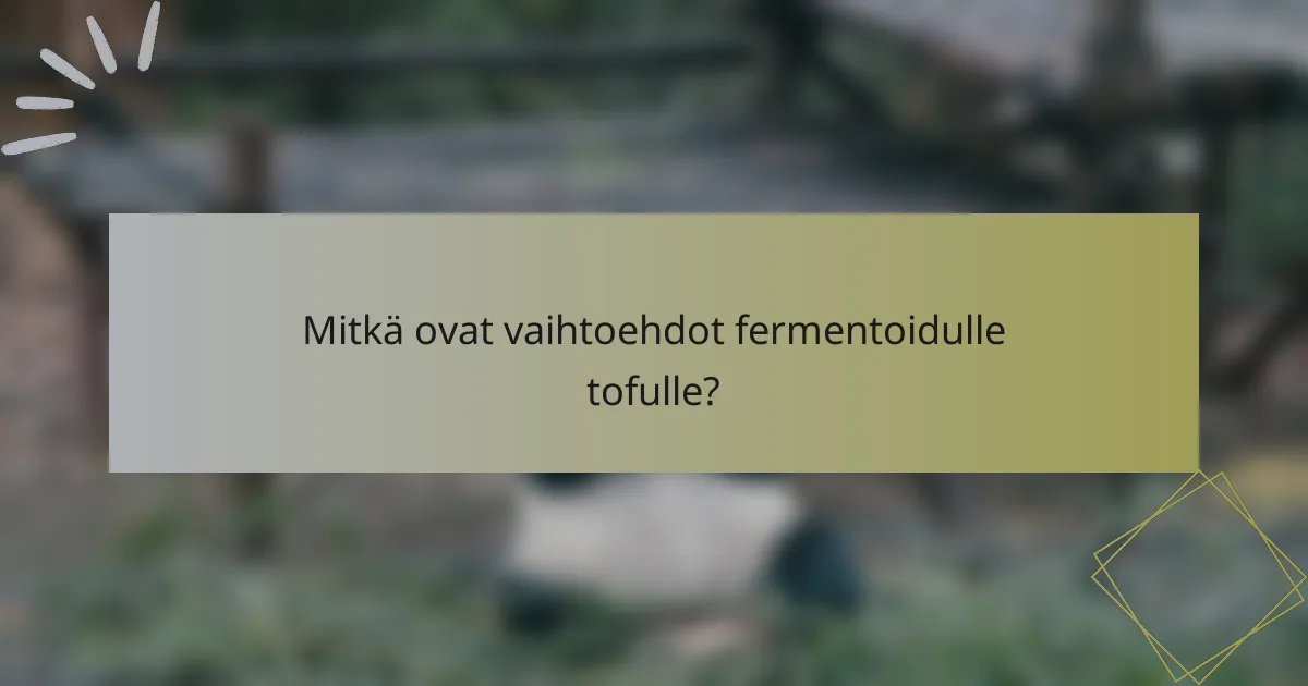 Mitkä ovat vaihtoehdot fermentoidulle tofulle?